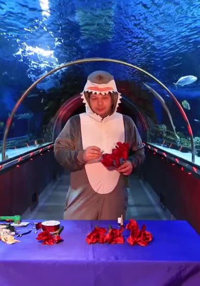 S01:E07 - Exotic Wedding, Tropicarium poster