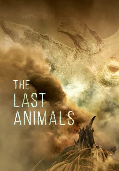 The Last Animals