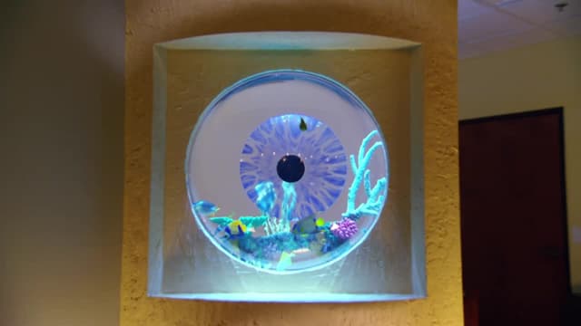 S08:E13 - Moonshine Eyes