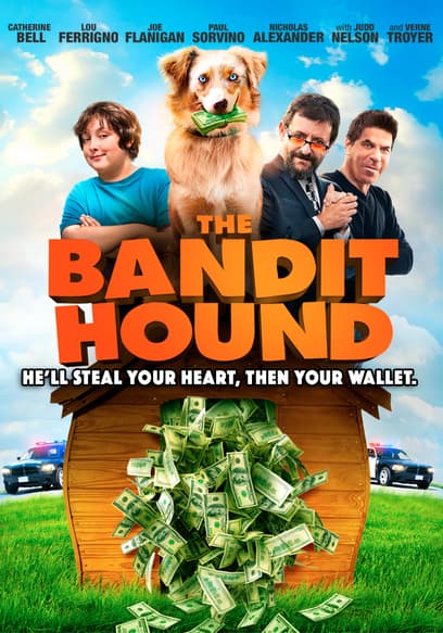 The Bandit Hound