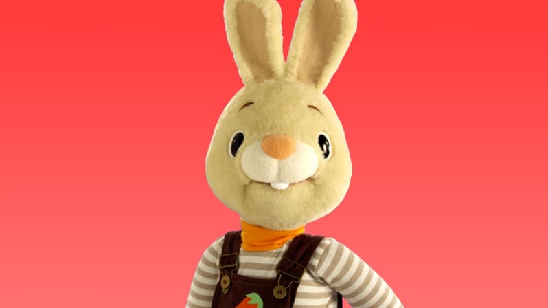 Harry The Bunny