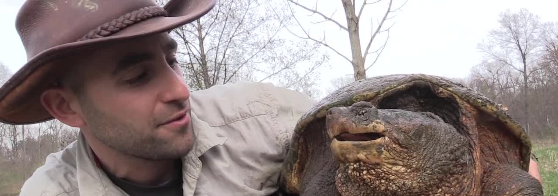 Watch Brave Wilderness S03:E11 - Snapping Turtles - Free TV Shows | Tubi