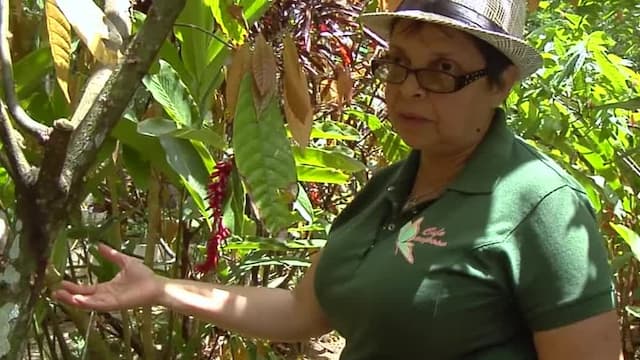 S01:E01 - Cocoa in Lopinot