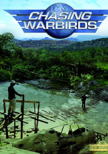 Chasing Warbirds