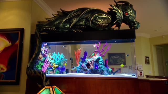 S08:E04 - Medieval Protection