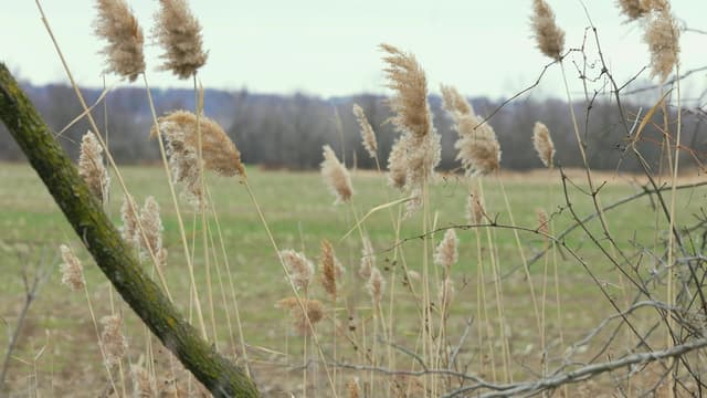 S01:E10 - George Burch