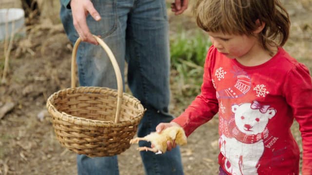 S01:E03 - Next Steps