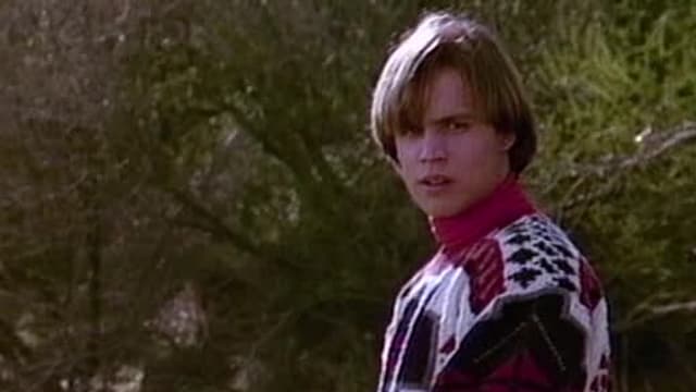 S10:E20 - Birds Do It, Bees Do It