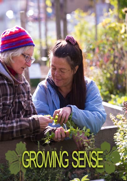Growing Sense