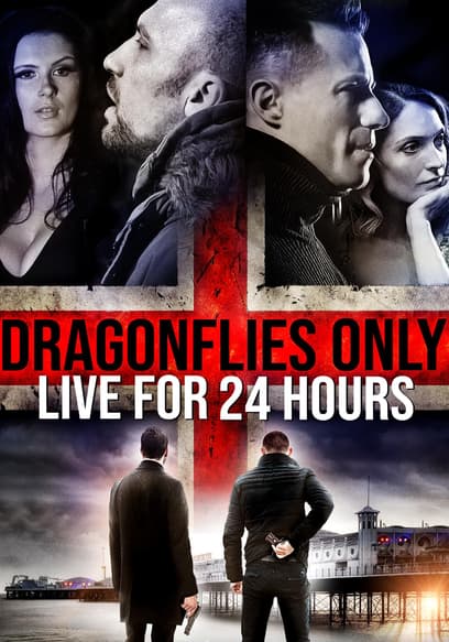 Dragonflies Only Live for 24 Hours poster