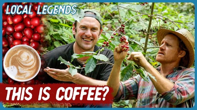 S01:E15 - Finding Mexico’s Best Coffee