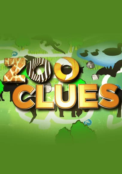 Zoo Clues