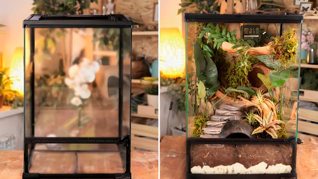 S02:E24 - DIY Crafts for Pets: Creative Projects for Your Friends