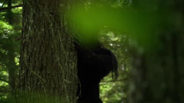 S01:E10 - Alaskan Bigfoot