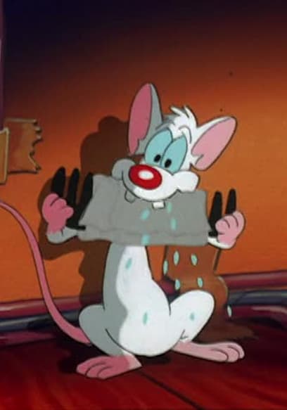 S03:E11 - Mice Don't Dance / Brain Drained poster