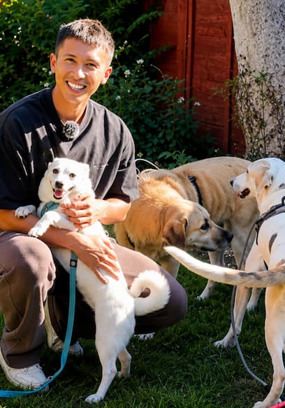 S02:E01 - The Start of Rescueing 30 Dogs in 30 Days! poster