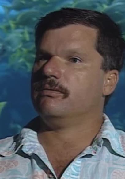 S01:E12 - Shark Shooters poster