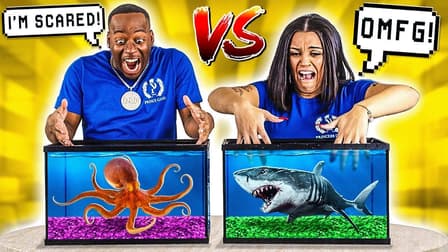 S01:E01 - What's in the Box Challenge