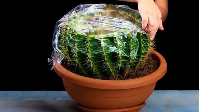 5-Minute Crafts