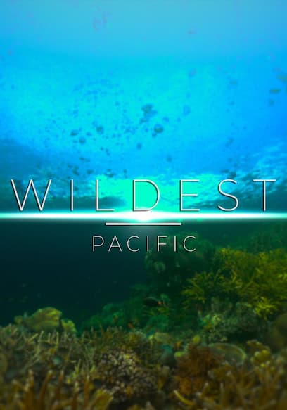 Wildest Places: Pacific
