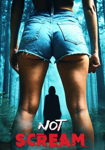Not Scream poster