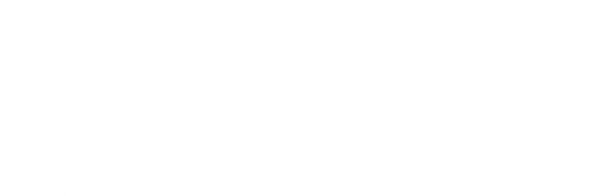 Sisu
