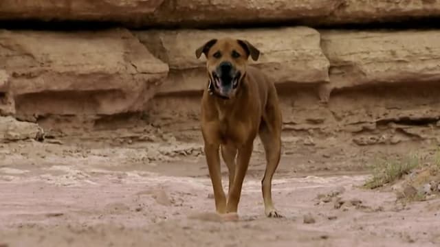 S03:E01 - Trapped in the Canyon