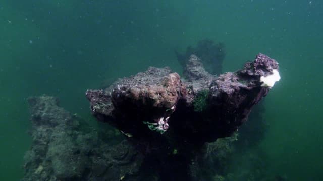 S01:E07 - Yellowstone