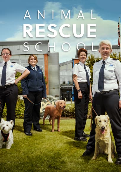 Animal Rescue School poster