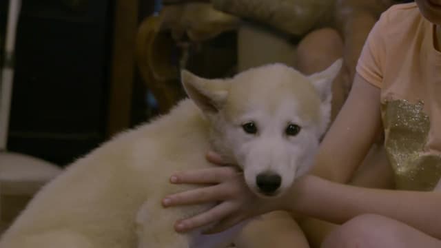 S12:E01 - Village of Wolves
