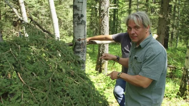 S01:E10 - Going Bush