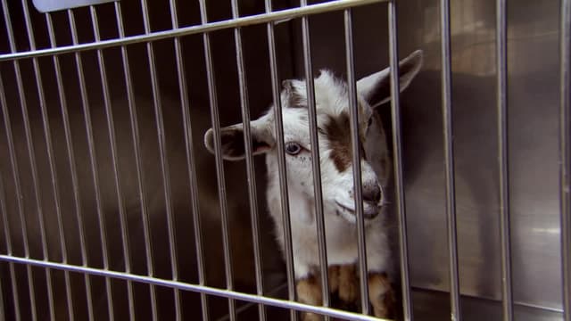 S01:E07 - A Full Heart