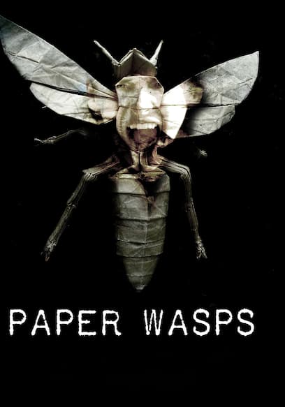 Paper Wasps
