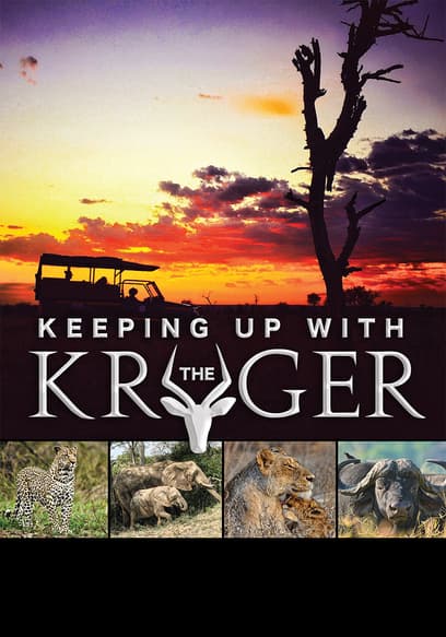 S01:E01 - Welcome to the Kruger