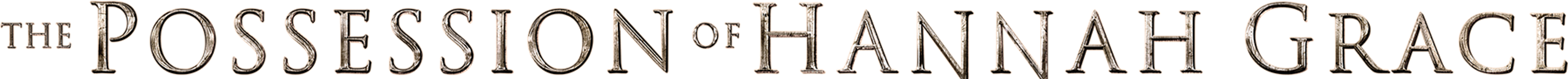 The Possession of Hannah Grace