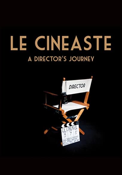 Le Cineaste: A Director's Journey