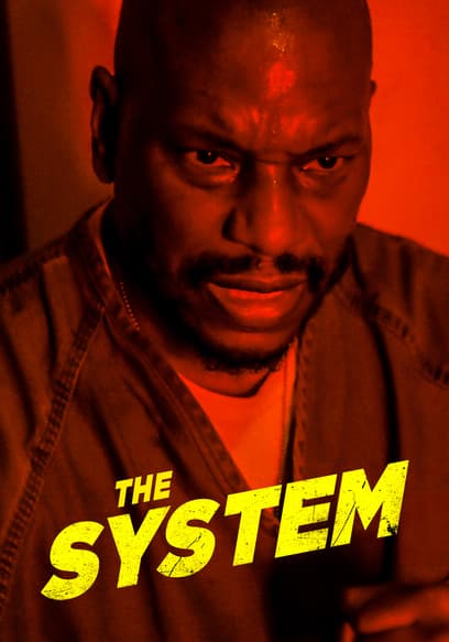 The System poster