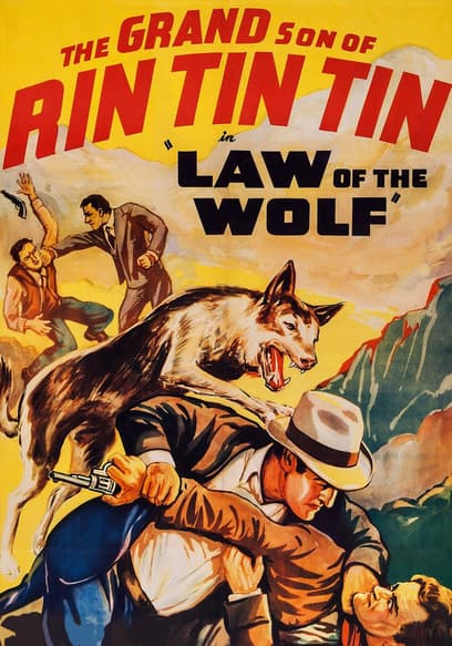 Law of the Wolf