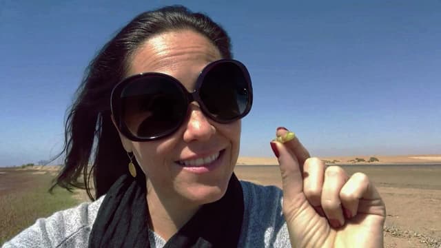 S04:E05 - Namibia and the Galapagos