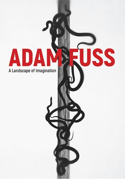 Adam Fuss: A Landscape of Imagination