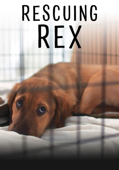 Rescuing Rex