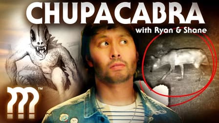 S01:E03 - The Horrifying Killings of El Chupacabra