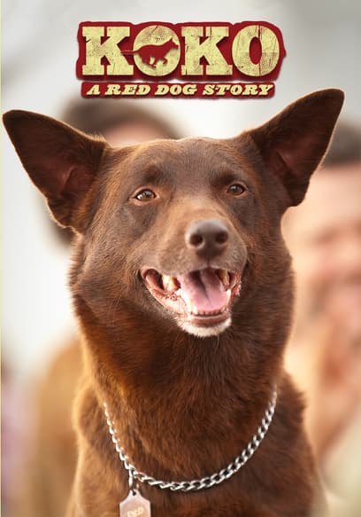 Koko: A Red Dog Story