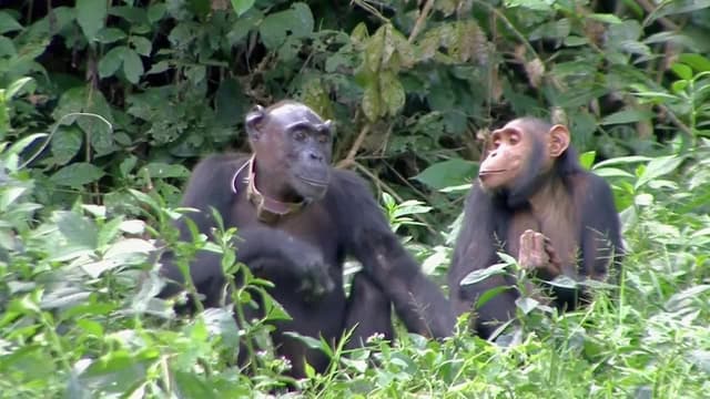 S01:E01 - Construyendo El Sueño