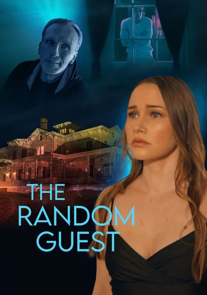 The Random Guest poster