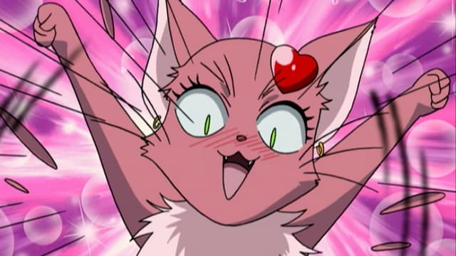 S01:E12 - Chocolat Becomes a Cat