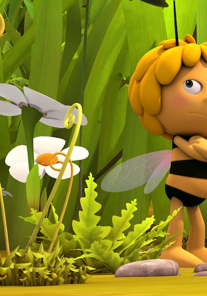 S01:E09 - Philibert / Dancing With Bees poster