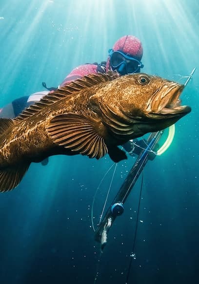 S01:E08 - 5 Days in Canada Chasing This Fish poster