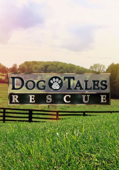 Dog Tales Rescue