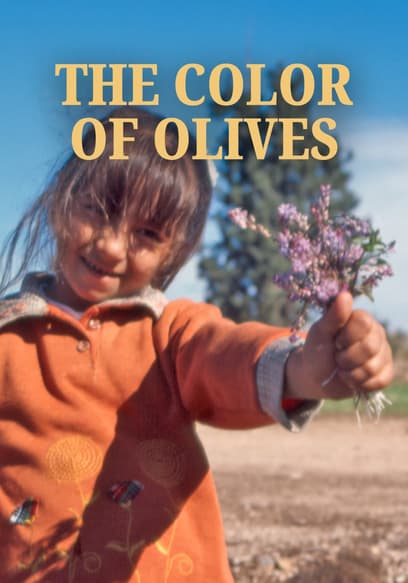 The Color of Olives